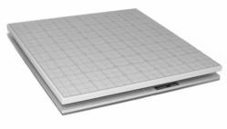 AMTI Forceplate